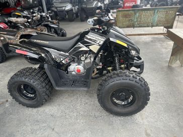 New 2026 Denago Powersports TRAILHAWK 10 FI 