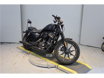 Used 2020 Harley-Davidson XL883N 