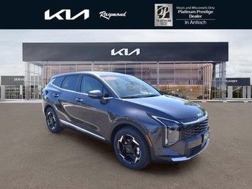Panthera Metal Gray