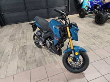 2021 Kawasaki Z125 PRO 