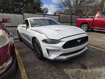 Used 2019 Ford Mustang EcoBoost Premium