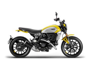 2024 Ducati Scrambler 800 Icon