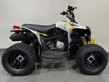New 2025 Can-Am RENEGADE 110 EFI 