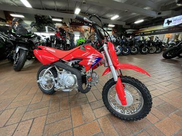 2025 Honda CRF50F 