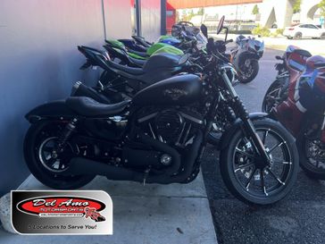 Used 2019 Harley-Davidson Sportster Iron 883 