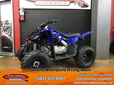 2024 Yamaha RAPTOR 110