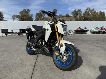 New 2026 Kawasaki Z125 PRO 