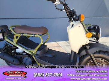 2024 Honda Ruckus