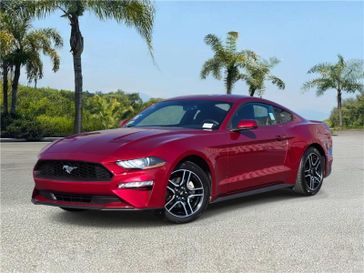 Used 2019 Ford Mustang EcoBoost Fastback