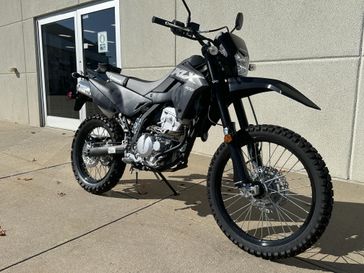 2024 Kawasaki KLX 300