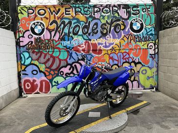 New 2025 Yamaha TT-R125LE 