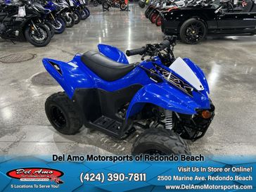 2021 Kawasaki KFX 50 