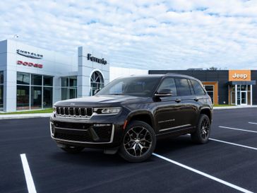 Diamond Black Crystal Pearl Coat