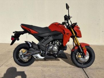 New 2025 Kawasaki Z125 PRO 