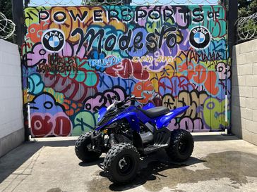 Team Yamaha Blue