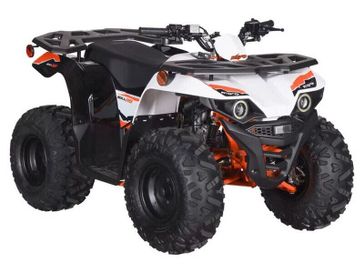 New 2026 KAYO BULL 110 