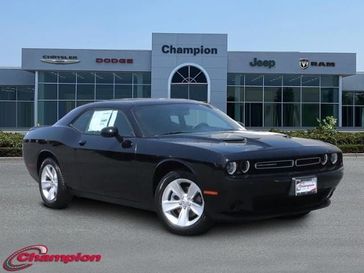 2023 Dodge Challenger SXT in a Pitch-Black exterior color and HOUNDSTOOTHinterior. Champion Chrysler Jeep Dodge Ram 800-549-1084 pixelmotiondemo.com 