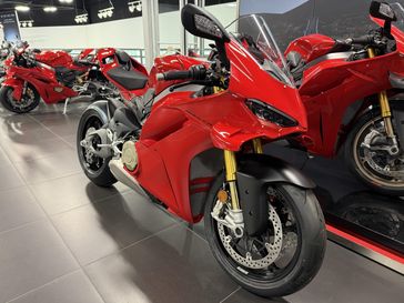 2025 Ducati PANIGALE V4 S