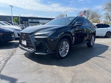 2024 Lexus NX 350 Premium