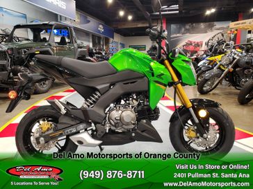 2024 Kawasaki Z125 PRO