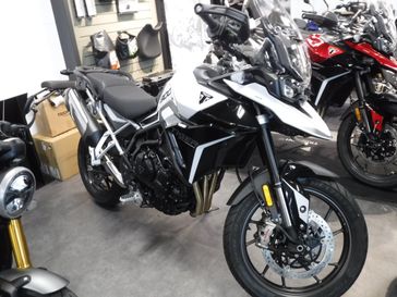 2024 Triumph Tiger 900 GT
