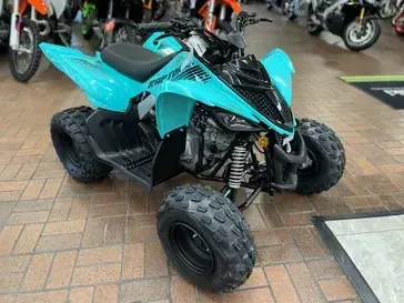 2025 Yamaha RAPTOR 110 