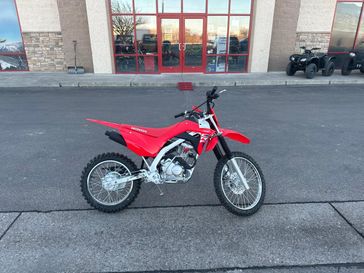 2025 Honda CRF 125FB 