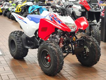 2025 Honda TRX250X 