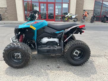 2025 Can-Am RENEGADE 70 EFI 