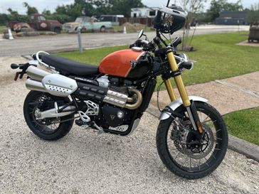 New 2025 Triumph Scrambler 1200 XE 