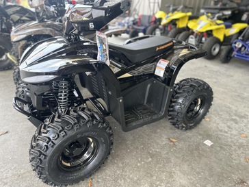 New 2026  Denago Powersports E HAWK 6 