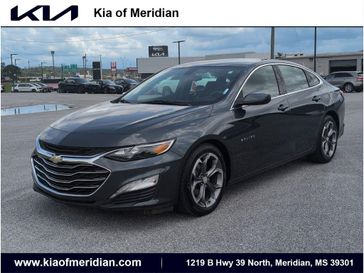 Shadow Gray Metallic