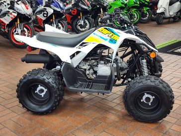 2023 Yamaha RAPTOR 90