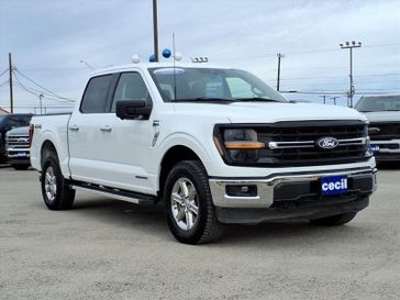 Used 2024 Ford F-150 XLT
