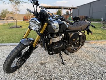 New 2025 Royal Enfield INT BEAR 650 