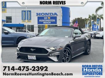 Used 2019 Ford Mustang EcoBoost Premium