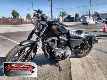 Used 2019 Harley-Davidson Sportster Iron 883 