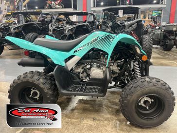 Used 2024 Yamaha Raptor 110 