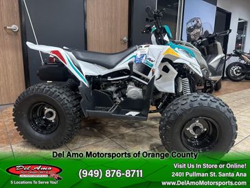 2025 Polaris OUTLAW 110 EFI