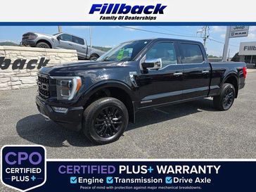 Used 2021 Ford F-150 Platinum