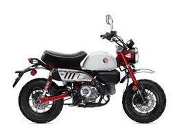 2025 Honda MONKEY125AS-261908 