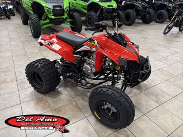 New 2026 Kayo STORM 300 