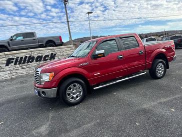 Used 2011 Ford F-150 XLT