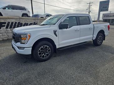 Used 2023 Ford F-150 XLT