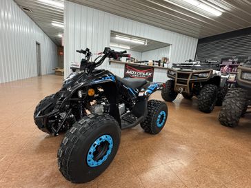 2026 Ice Bear Powersports GRZ125-D 