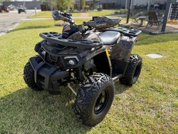 New 2025 Denago Powersports Mudhawk 10FI 