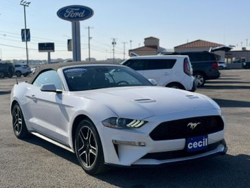 Used 2021 Ford Mustang EcoBoost