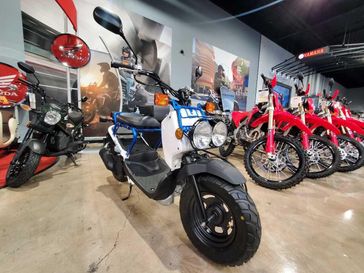 Used 2023 Honda Ruckus 