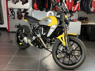 2024 Ducati SCRAMBLER ICON  in a YELLOW exterior color. Cross Country Cycle 201-288-0900 crosscountrycycle.net 