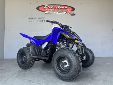 2025 Yamaha RAPTOR 110 